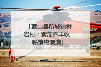 蓝山县所城镇舜岩村：紫茄喜丰收 畅销粤港澳
