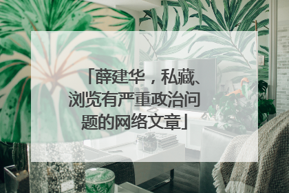 薛建华，私藏、浏览有严重政治问题的网络文章