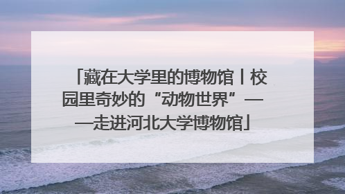 藏在大学里的博物馆丨校园里奇妙的“动物世界”——走进河北大学博物馆