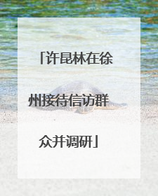 许昆林在徐州接待信访群众并调研
