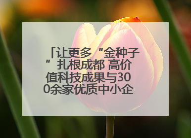 让更多“金种子”扎根成都 高价值科技成果与300余家优质中小企业精准对接