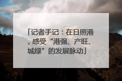 记者手记：在日照港，感受“港强、产旺、城绿”的发展脉动