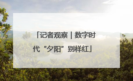记者观察｜数字时代“夕阳”别样红