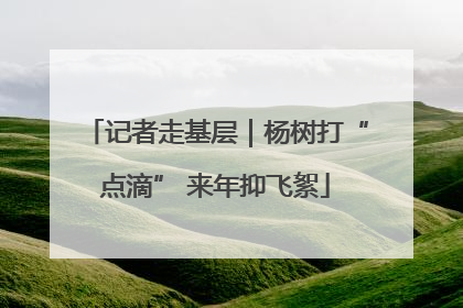 记者走基层｜杨树打“点滴” 来年抑飞絮