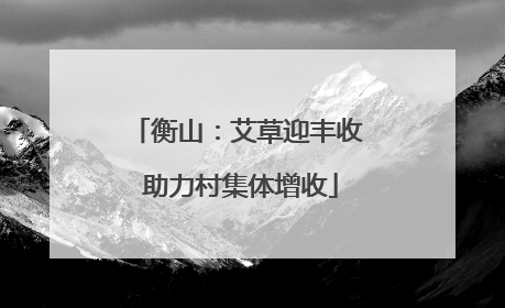 衡山：艾草迎丰收 助力村集体增收