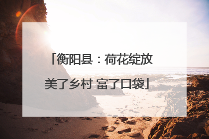 衡阳县：荷花绽放 美了乡村 富了口袋