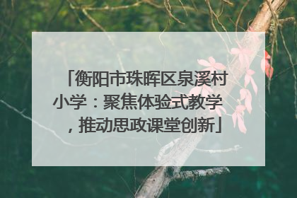 衡阳市珠晖区泉溪村小学：聚焦体验式教学，推动思政课堂创新