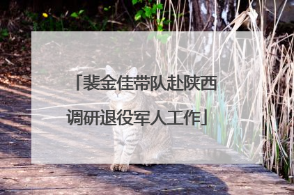 裴金佳带队赴陕西调研退役军人工作