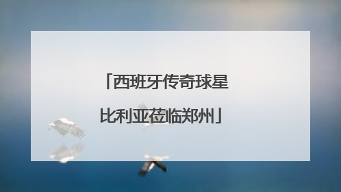西班牙传奇球星 比利亚莅临郑州