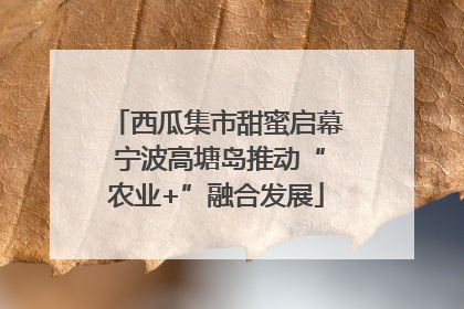西瓜集市甜蜜启幕 宁波高塘岛推动“农业+”融合发展