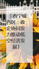 西宁城西区：政企协同发力推动低空经济发展
