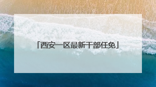 西安一区最新干部任免