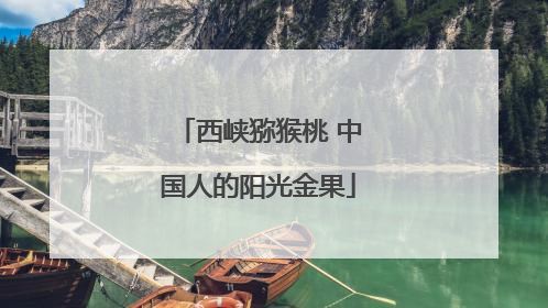 西峡猕猴桃 中国人的阳光金果