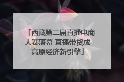 西藏第二届直播电商大赛落幕 直播带货成高原经济新引擎