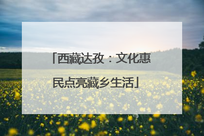 西藏达孜：文化惠民点亮藏乡生活