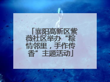 襄阳高新区紫薇社区举办“粽情邻里，手作传香”主题活动