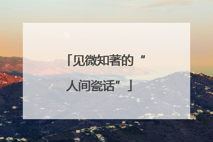 见微知著的“人间瓷话”
