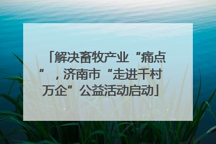 解决畜牧产业“痛点”，济南市“走进千村万企”公益活动启动
