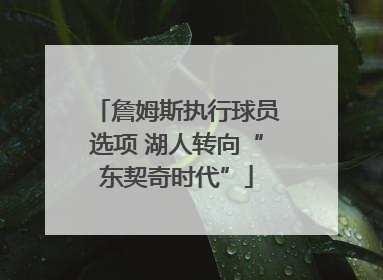 詹姆斯执行球员选项 湖人转向“东契奇时代”