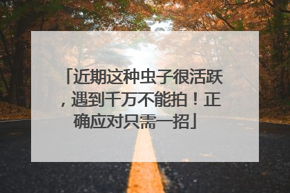 近期这种虫子很活跃，遇到千万不能拍！正确应对只需一招