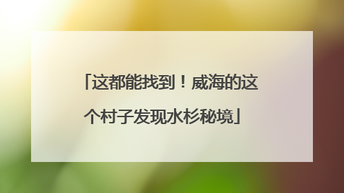 这都能找到！威海的这个村子发现水杉秘境