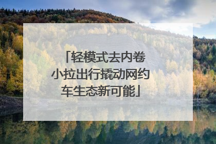轻模式去内卷 小拉出行撬动网约车生态新可能