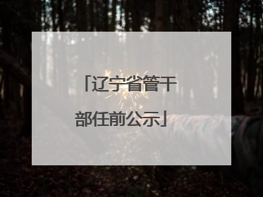 辽宁省管干部任前公示