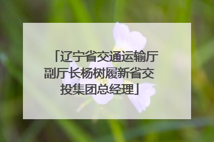 辽宁省交通运输厅副厅长杨树履新省交投集团总经理