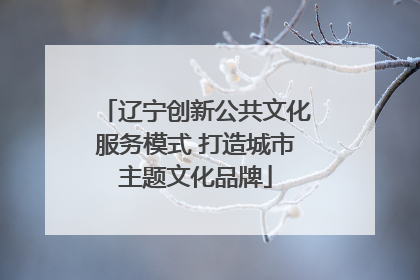 辽宁创新公共文化服务模式 打造城市主题文化品牌