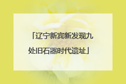 辽宁新宾新发现九处旧石器时代遗址