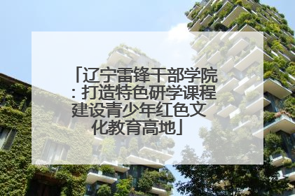 辽宁雷锋干部学院：打造特色研学课程 建设青少年红色文化教育高地