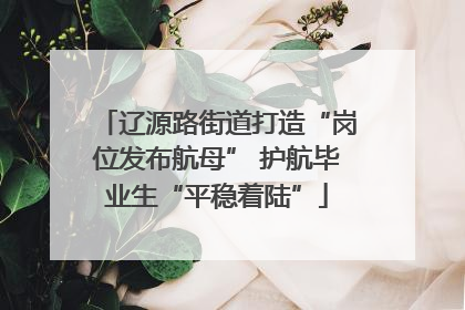 辽源路街道打造“岗位发布航母” 护航毕业生“平稳着陆”
