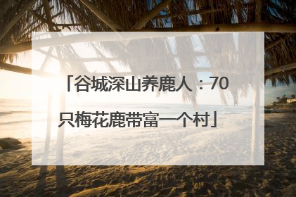 谷城深山养鹿人：70只梅花鹿带富一个村