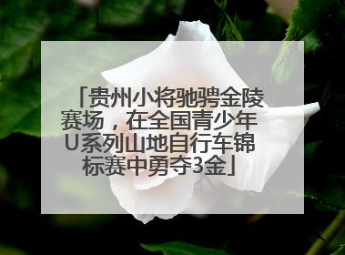 贵州小将驰骋金陵赛场，在全国青少年U系列山地自行车锦标赛中勇夺3金