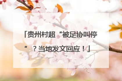 贵州村超“被足协叫停”？当地发文回应！