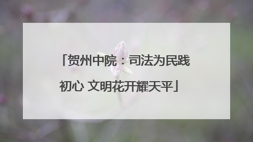 贺州中院：司法为民践初心 文明花开耀天平