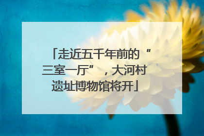 走近五千年前的“三室一厅”，大河村遗址博物馆将开