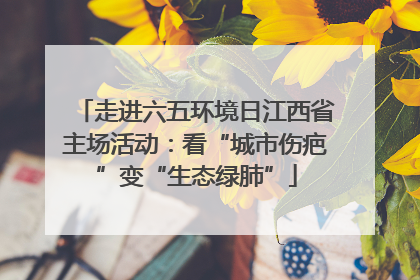 走进六五环境日江西省主场活动：看“城市伤疤”变“生态绿肺”