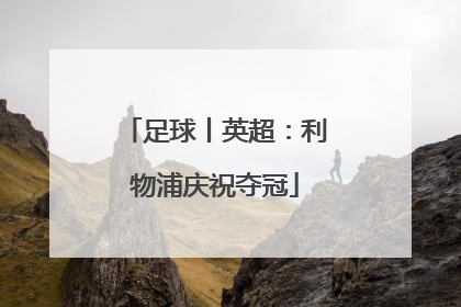 足球丨英超：利物浦庆祝夺冠