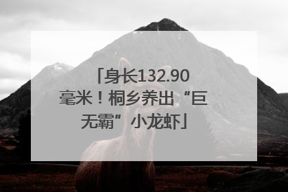 身长132.90毫米！桐乡养出“巨无霸”小龙虾