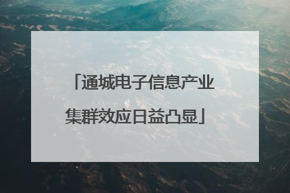 通城电子信息产业集群效应日益凸显