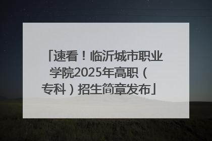 速看！临沂城市职业学院2025年高职（专科）招生简章发布