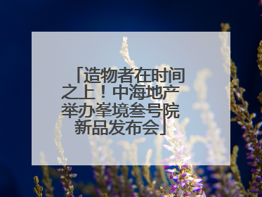 造物者在时间之上！中海地产举办峯境叁号院新品发布会