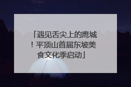 遇见舌尖上的鹰城！平顶山首届东坡美食文化季启动