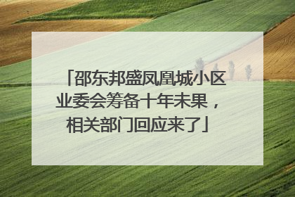 邵东邦盛凤凰城小区业委会筹备十年未果，相关部门回应来了