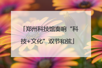 郑州科技馆奏响“科技+文化”双节和弦