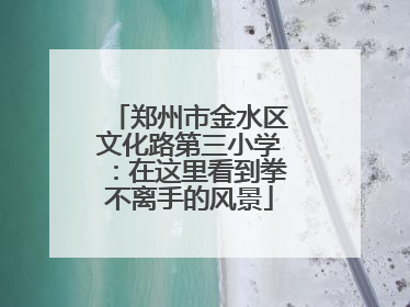 郑州市金水区文化路第三小学：在这里看到拳不离手的风景