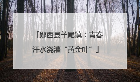 郧西县羊尾镇：青春汗水浇灌“黄金叶”