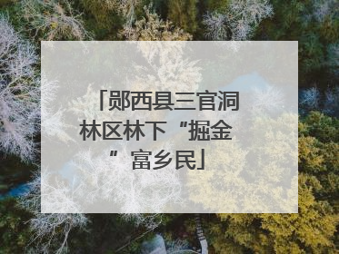 郧西县三官洞林区林下“掘金”富乡民