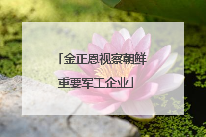 金正恩视察朝鲜重要军工企业
